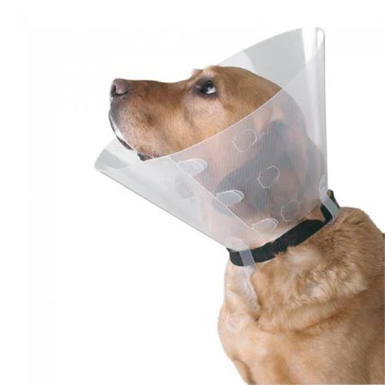 30466593.webp E-Coller For Cats &Dogs - Image 1