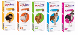 bravecto 40-56 kg