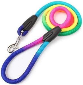 Dog's Harness & Leash (Rainbow, Large) - Image 6