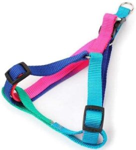 Dog's Harness & Leash (Rainbow, Large) - Image 7