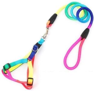 Dog's Harness & Leash (Rainbow, Large) - Image 2