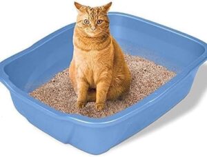 Rest cat litter 5 L ( green ) - Image 2