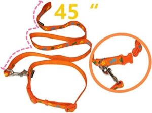 Neon Harness Set - Image 2