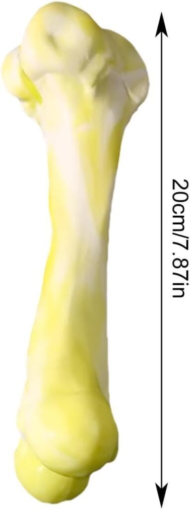 bone toy (L) - Image 6