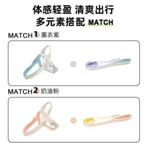 Leash with Handle and Silicone Collar - Image 7