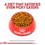 Royal Canin® Feline Gastrointestinal Adult Dry Cat Food 400 g - Image 4