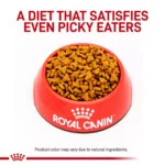 Royal Canin® Feline Gastrointestinal Fiber Response Adult Dry Cat Food 400 g - Image 2