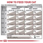 Royal Canin® Feline Gastrointestinal Fiber Response Adult Dry Cat Food 400 g - Image 3