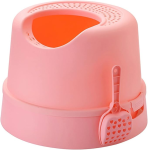 Cat Litter Box With Ladder