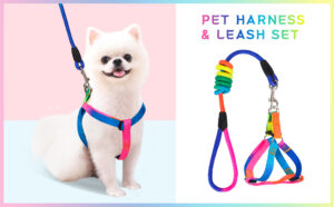 Dog's Harness & Leash (Rainbow, Small)