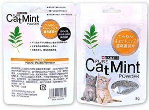 Cat Mint 5g - Image 2