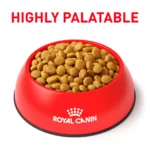 Royal Canin®  Feline Renal Adult Dry Cat Food 2kg - Image 3
