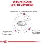 Royal Canin®  Feline Renal Adult Dry Cat Food 2kg - Image 4
