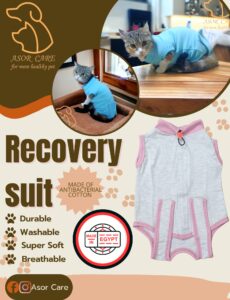 Recovery Suit