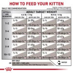 Royal Canin® Veterinary Diet Feline Gastrointestinal Kitten Dry Cat Food 400 g - Image 3