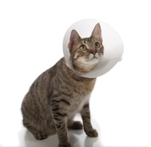 E-Coller For Cats &Dogs - Image 2