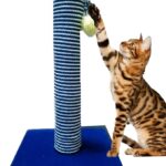 Cat Scratcher Small