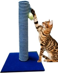 Cat Scratcher Small