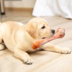 bone toy (L) - Image 3