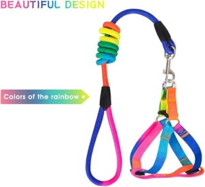 Dog's Harness & Leash (Rainbow, Large) - Image 3