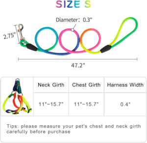 Dog's Harness & Leash (Rainbow, Small) - Image 5