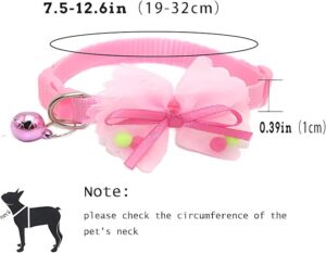 Collar With Bibione - Image 6