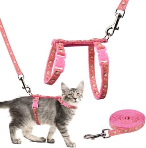 harness spider cat - Image 4