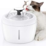 Water Fountain