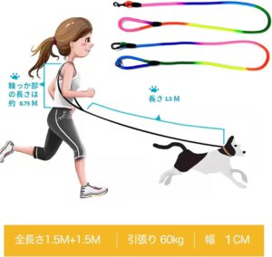 Rainbow Dog Leash - Image 8