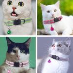 Collar Cat - Image 2