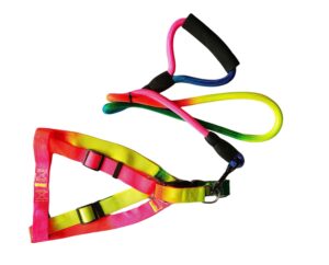 Dog's Harness & Leash (Rainbow, Medium) - Image 3
