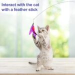 feather cat toy - Image 5