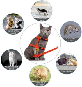 Fabric Cat Harness - Image 2