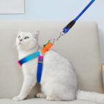 Dog's Harness & Leash (Rainbow, Small) - Image 7