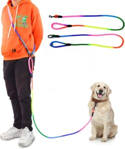 Rainbow Dog Leash - Image 6