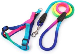 Dog's Harness & Leash (Rainbow, Large)