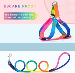 Dog's Harness & Leash (Rainbow, Large) - Image 4