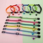 Collar Cat - Image 5