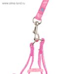 Neon Harness Set - Image 7