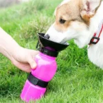 Travel Water Bottle - Image 2
