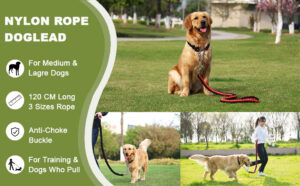 Twisted Dog Leash and Collar Set - Image 5