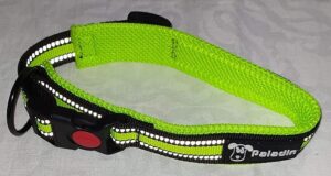 Paladin Leash & Collar - Image 6