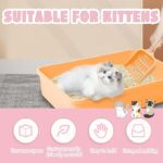 Small Litter Box for Kittens - Image 2