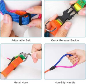 Dog's Harness & Leash (Rainbow, Large) - Image 5