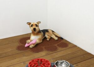 Litter Trapping Mat (L) - Image 10