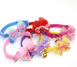 Collar With Bibione - Image 4