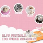 Small Litter Box for Kittens - Image 5