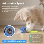 Cat Toy Electric Running Ball - Image 3