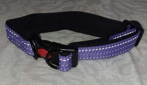 Paladin Leash & Collar - Image 4