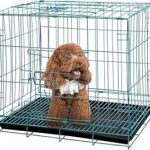 Metal Cage (S)
